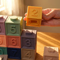 Montessori Squeaky Block Set